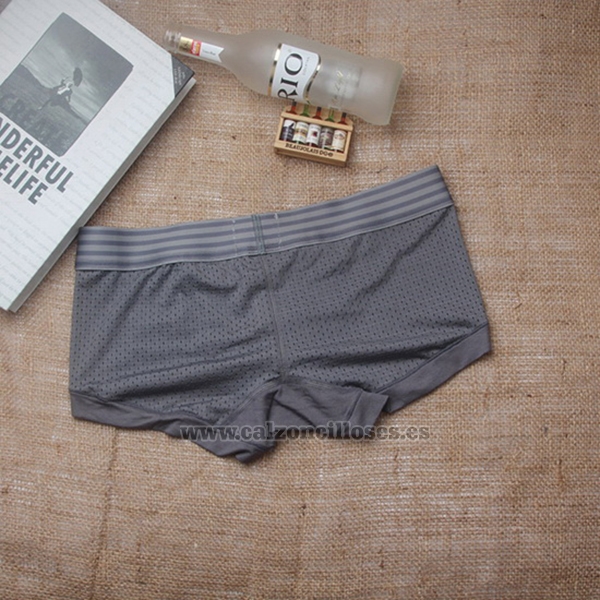 Boxer C-in2 Hombre Malla Apagado Gris 